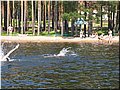 Canon PowerShot G3